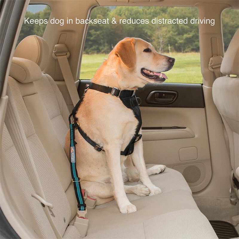 Kurgo, Direct To Seatbelt Tether - Coastal Blue image number null