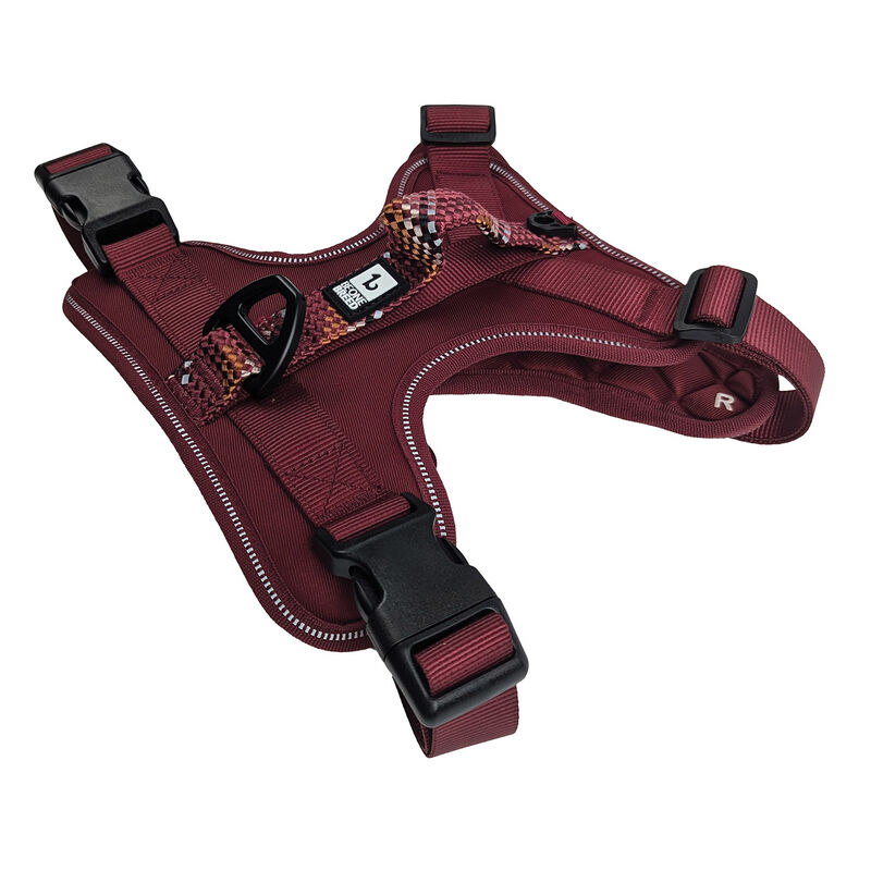 BeOneBreed, Paracord Harness - Burgundy image number null