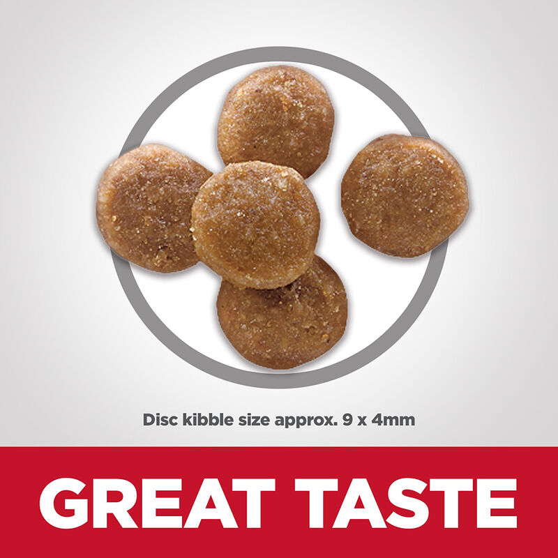 Science Diet, Feline Adult - Perfect Digestion Chicken - Dry Cat Food image number null