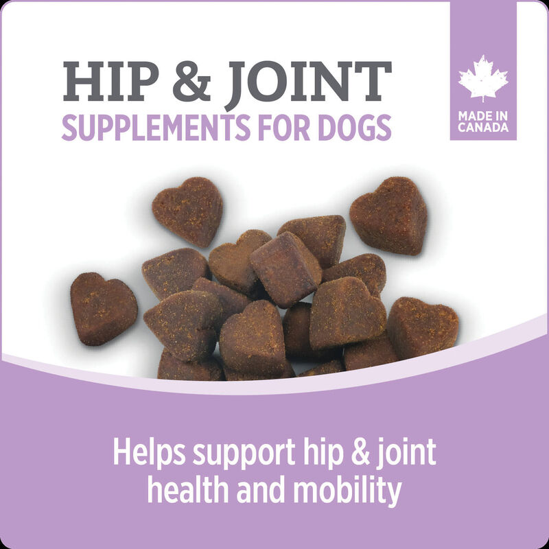 Nutrience, Hip & Joint Dog Supplement image number null