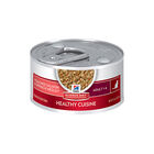 Science Diet, Adult Healthy Cuisine Poached Salmon & Spinach Medley - 79.37 g - Wet Cat Food image number null