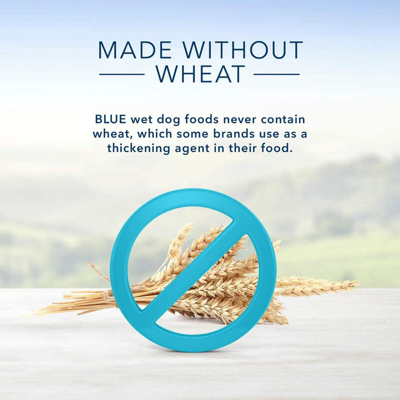 Can, Puppy Homestyle Recipe Chicken 354 g Ren's Pets