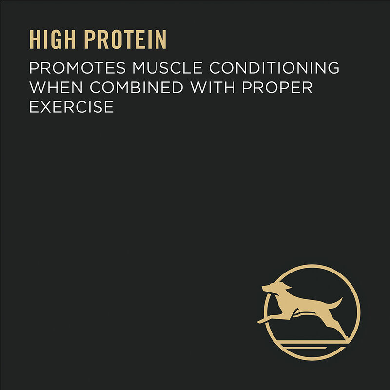 Purina Pro Plan Specialized Large Breed Adult, Chicken & Rice Dry Dog Food 15.4kg image number null