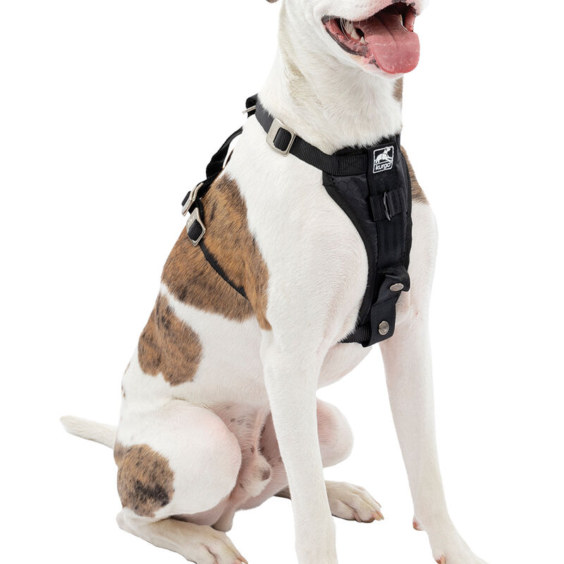 Kurgo, Tru-Fit Car Harness Enhanced Strength - Black image number null