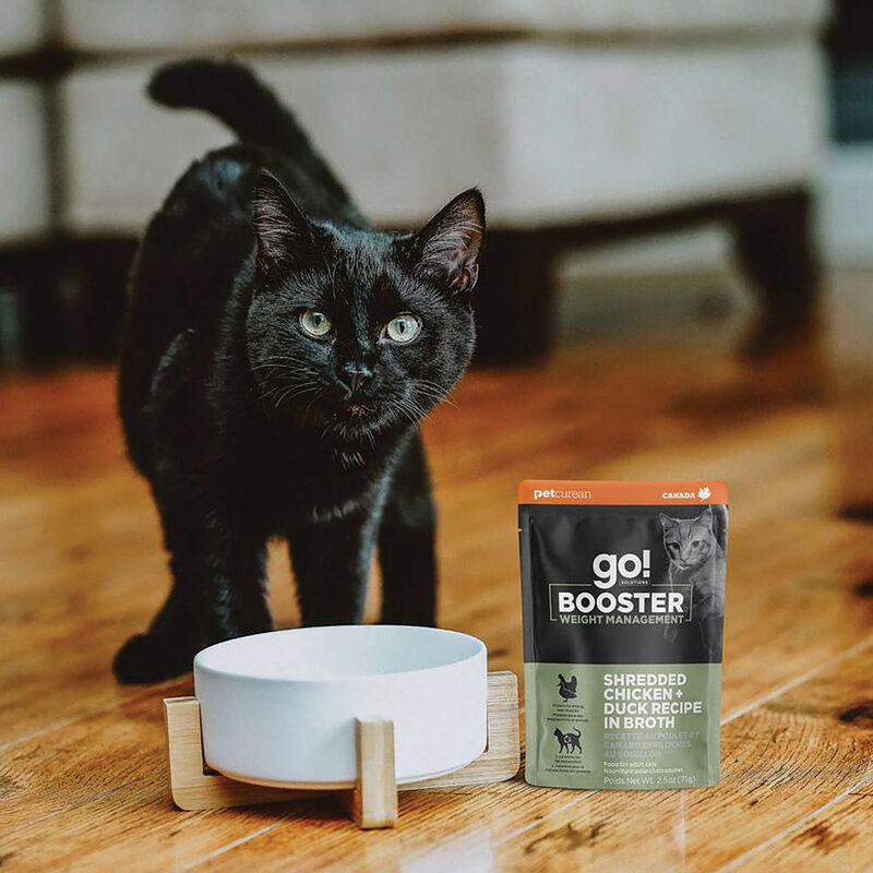 GO! SOLUTIONS,  BOOSTER Weight Management Shredded Chicken + Duck in broth - 71 g - Wet Cat Food image number null