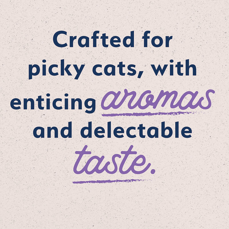 Natural Balance, Cat Can Chicken & Liver Pate  - 5.5 oz - Wet Cat Food image number null