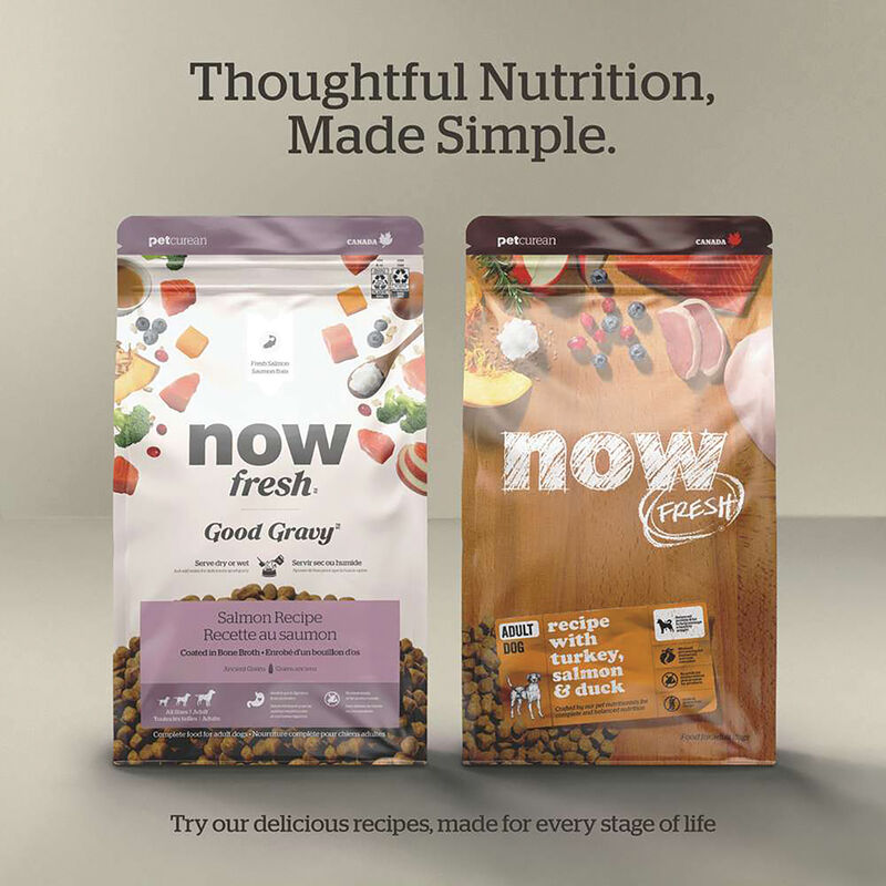 NOW FRESH, Adult Red Meat - Dry Dog Food image number null