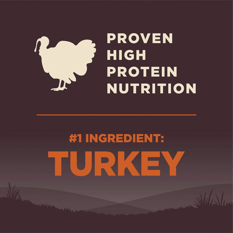 Wellness, Core, Grain Free Small Breed - Dry Dog Food image number null