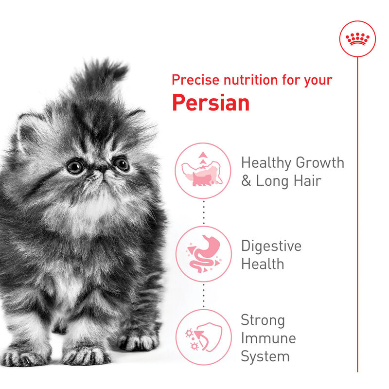 Royal Canin, Feline Breed Nutrition - Persian Kitten Food - 1.36 kg image number null