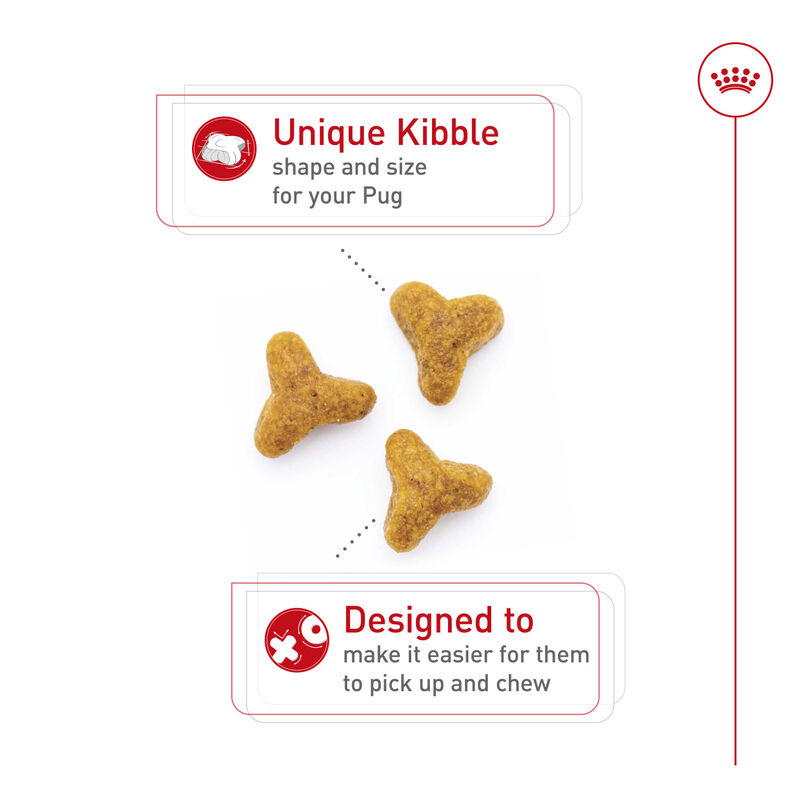 Royal Canin, Dry Dog Food, Pug - Dry Dog Food image number null