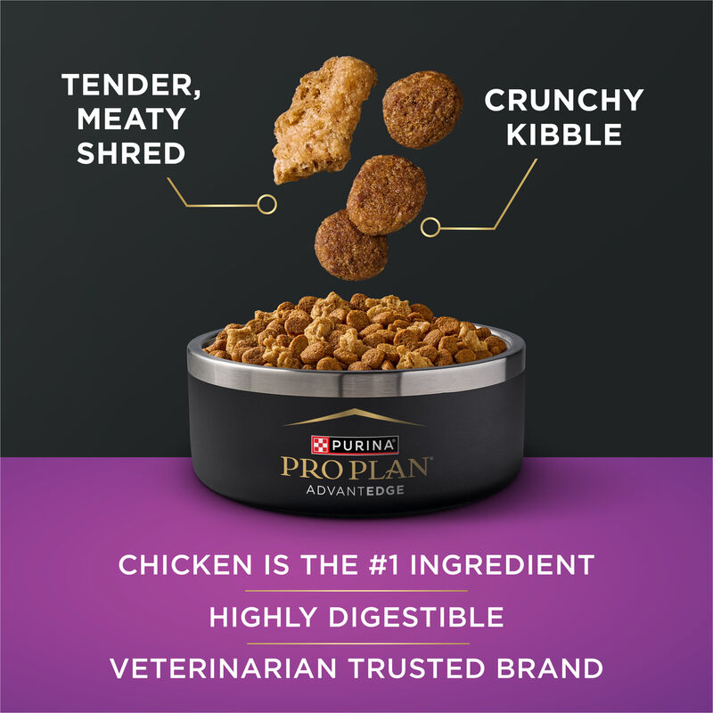 Pro Plan, AdvantEDGE - Senior Support Chicken & Rice - Dry Dog Food image number null