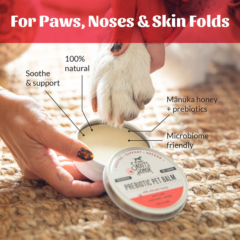 Skouts Honor, Probiotic Paw & Nose Balm - 59 ml image number null