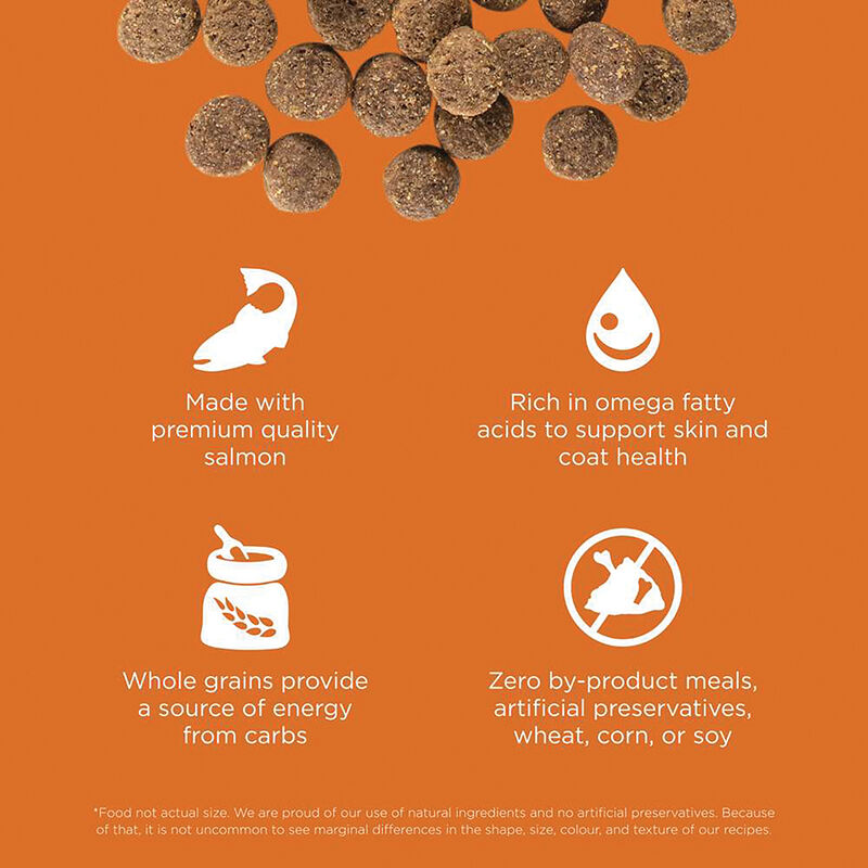 GO! SOLUTIONS SKIN + COAT CARE Salmon Recipe for dogs image number null