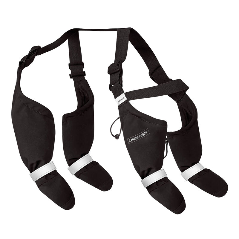 Canada Pooch, Suspender Boots - Black - Short image number null