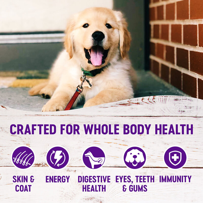 Wellness, Puppy Large Breed - Chicken, Salmon & Brown Rice - 13.6kg - Dry Dog Food image number null
