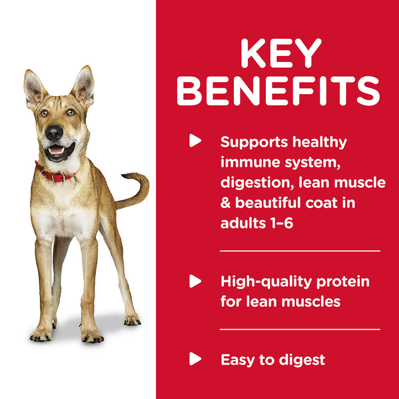 Science Diet, Can, Adult - Savory Stew Chicken & Vegetables - 363 g - Wet Dog Food image number null