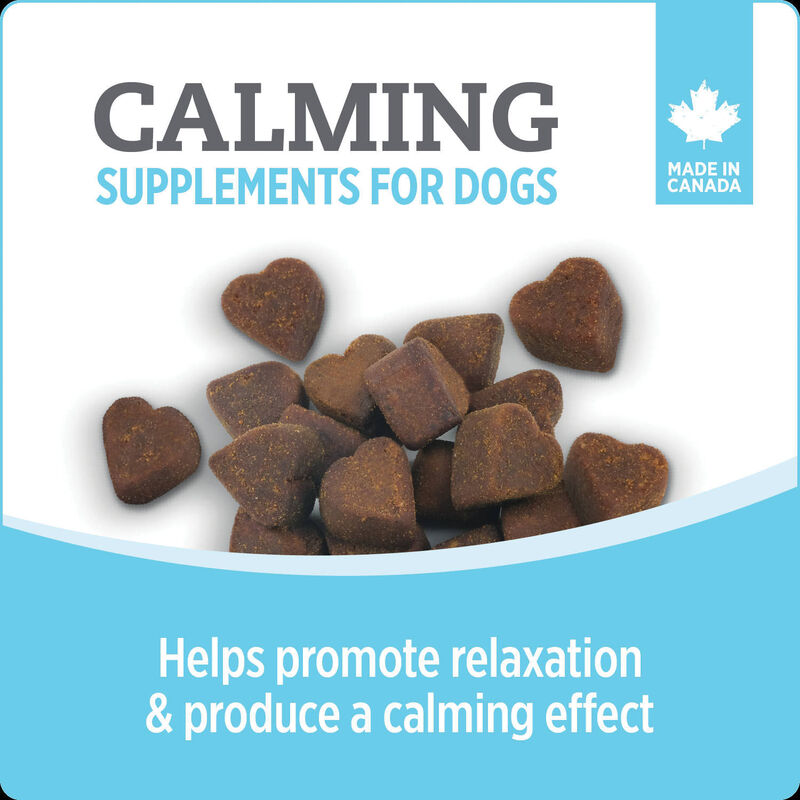 Nutrience, Calming Dog Supplement image number null