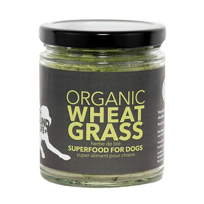 North Hound Life, Organic Wheatgrass - 250 ml