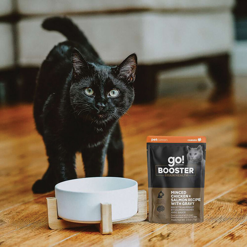 GO! SOLUTIONS,  BOOSTER Brain Health Minced Chicken + Salmon with gravy - 71 g - Wet Cat Food image number null