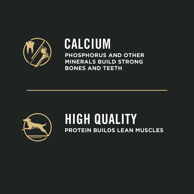 Purina Pro Plan Development Under One Year Puppy, Shredded Blend, Chicken & Rice Dry Dog Food Formul image number null