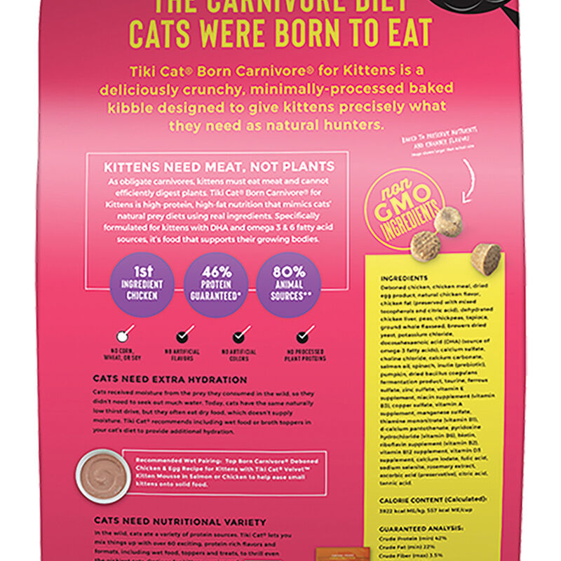 Feline Baby- Chicken & Egg image number null