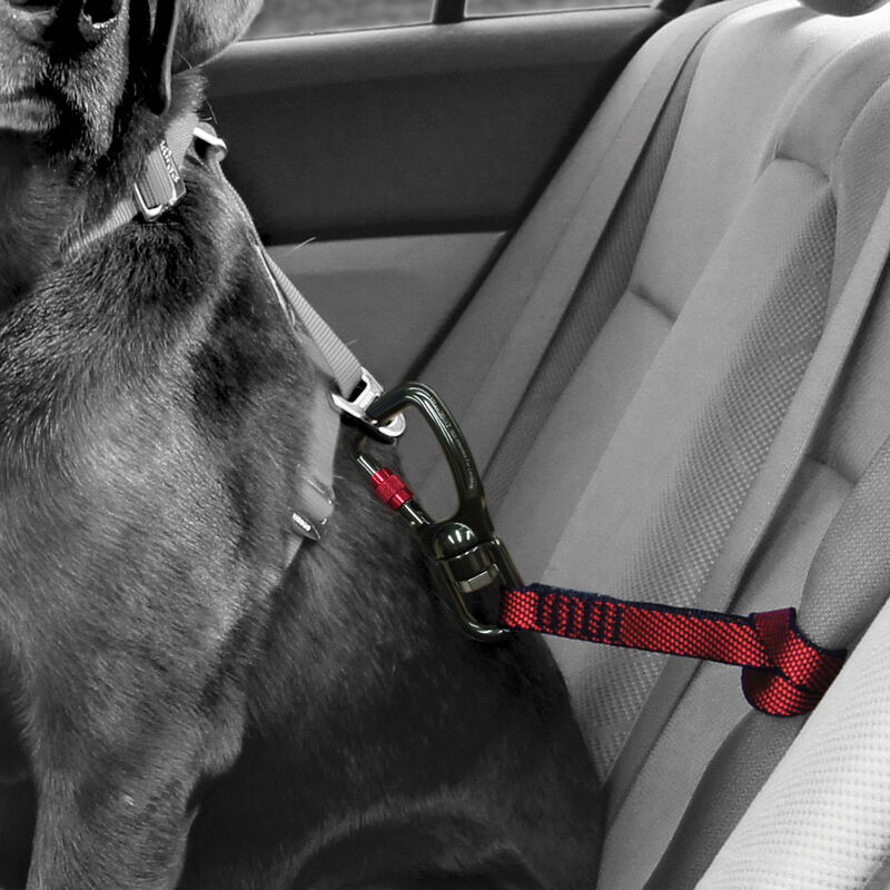 Kurgo, Swivel Tether image number null