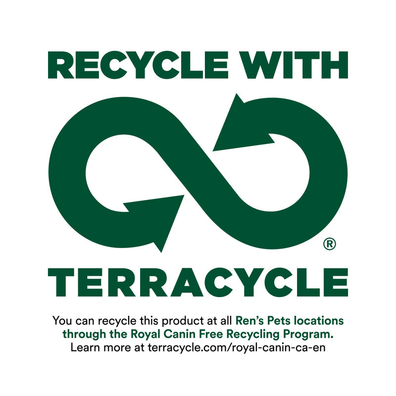 Royal Canin, Health Nutrition Fussy Appetite - Dry Cat Food image number null