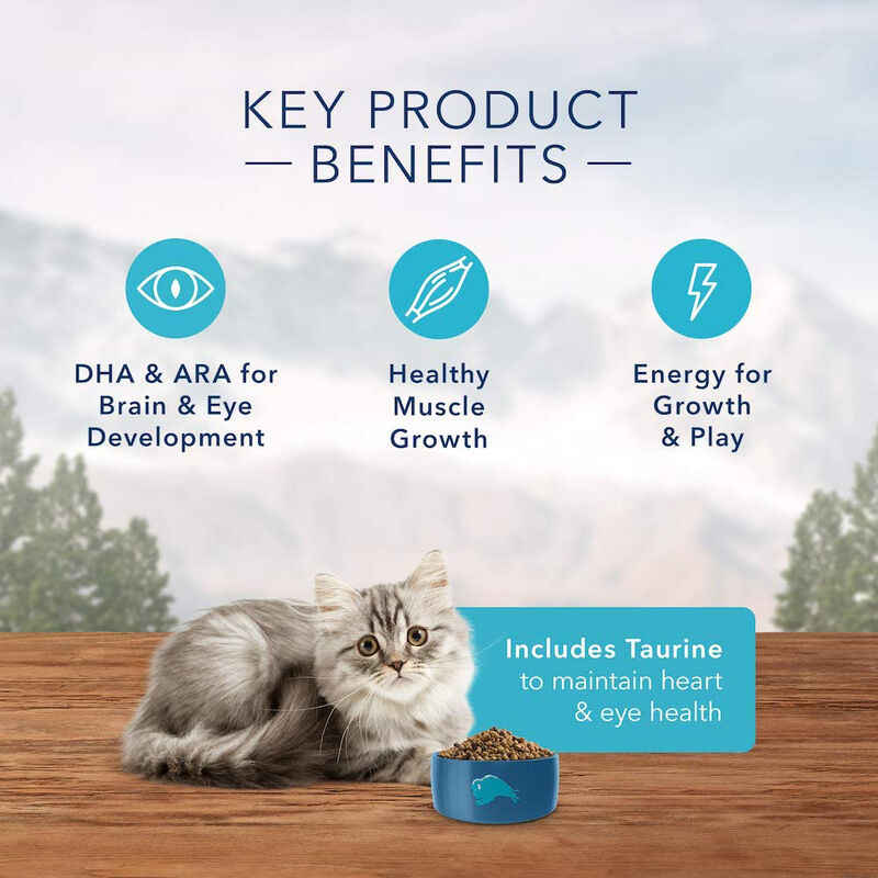 Blue Buffalo, Feline Kitten - Wilderness - Chicken - Dry Cat Food image number null
