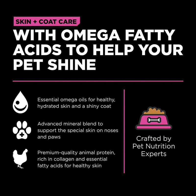 GO! SOLUTIONS SKIN + COAT CARE Chicken Recipe for cats image number null