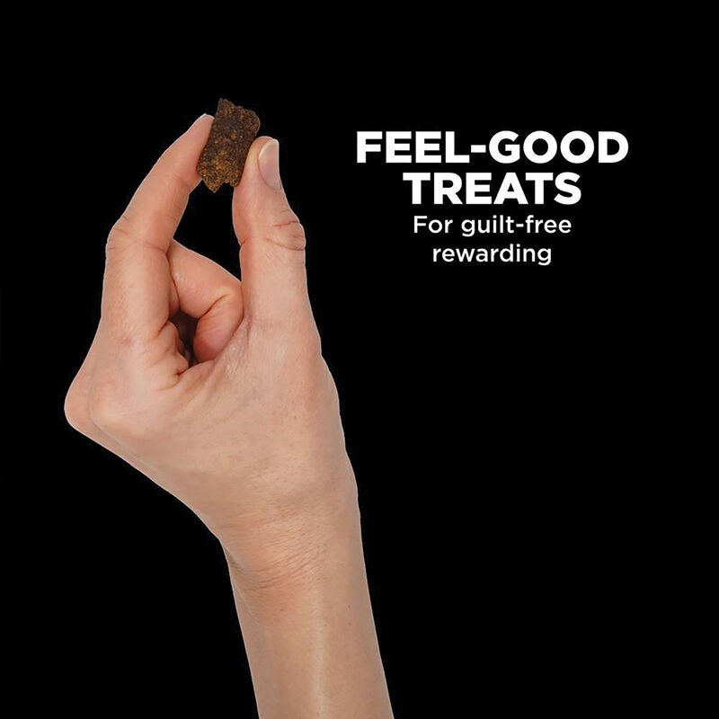 Go! Solutions,Benefit Chews - Weight Management + Joint Care Chicken Dog Treats - 170 g image number null