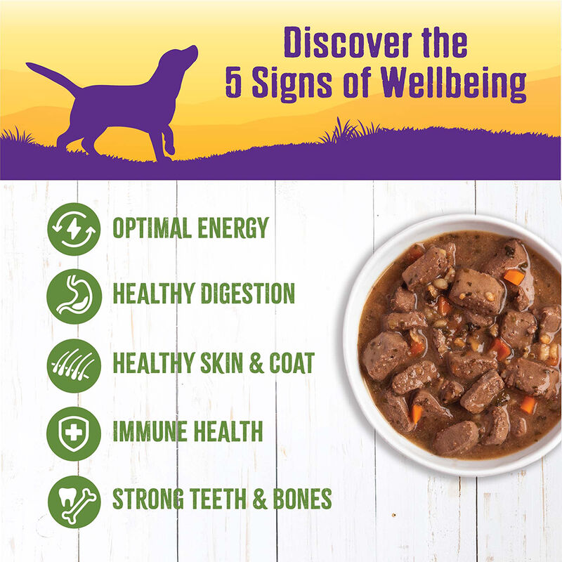 Wellness, Canned Dog Food, Chunks & Gravy, Lamb & Beef Stew with Brown Rice & Apples - 12.5 oz - Wet image number null