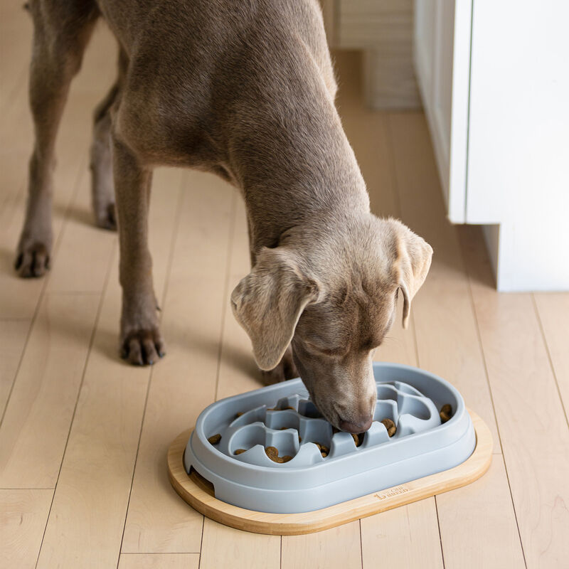 BeOneBreed, Oval Plastic Slow Feeder - Gray image number null