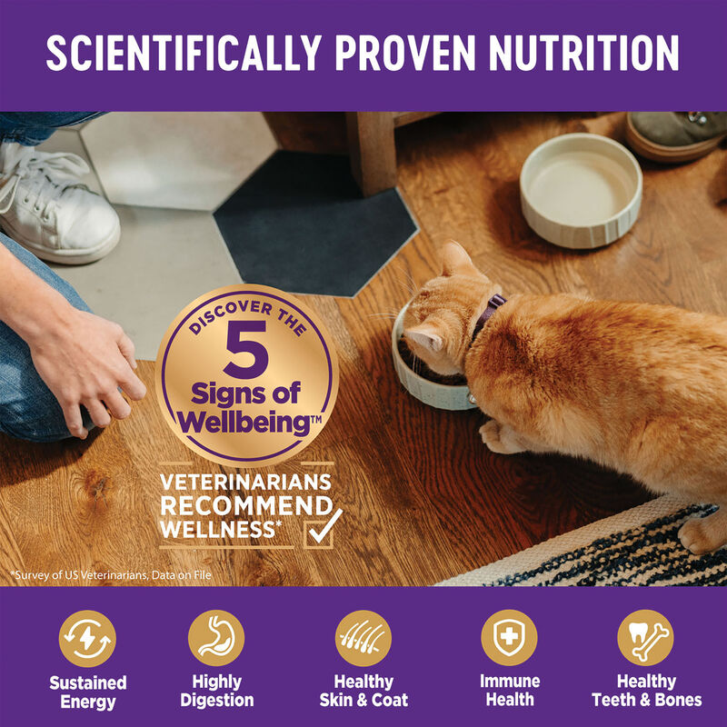 Wellness, Feline Adult - Grain Free -Complete Health - Indoor - Salmon & Herring Meal Recipe - Dry C image number null