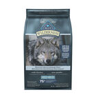 Blue Buffalo, Wilderness with More Meat & Wholesome Grains Adult Dog - Chicken - Dry Dog Food image number null