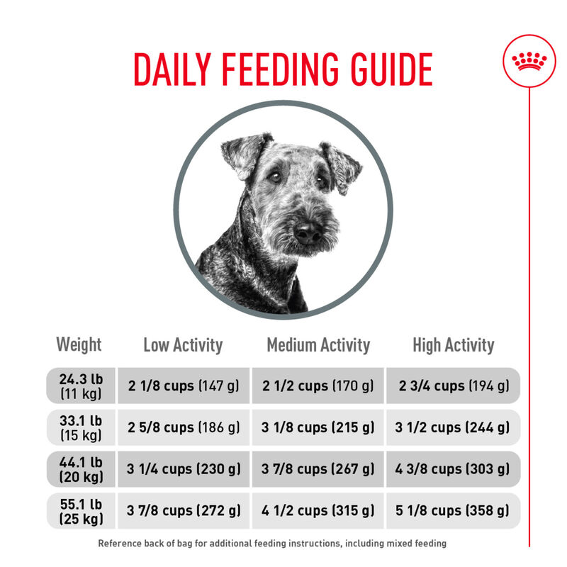 Royal Canin, Canine Care Nutrition Dental Care Adult Medium - Dry Dog Food image number null