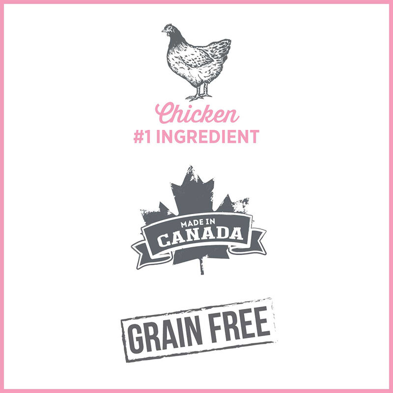 Nutrience, Care - Urinary Health-Chicken & Cranberry - 156 g - Wet Cat Food image number null