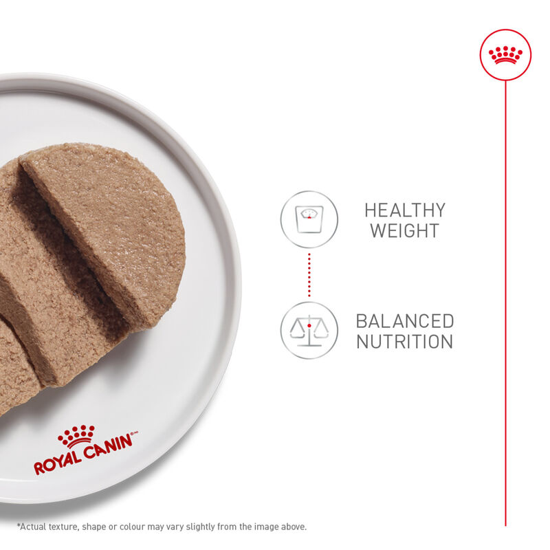 Royal Canin, Canine Care Nutrition Adult Weight Care Loaf in Sauce - Wet Dog Food image number null
