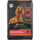Purina Pro Plan Specialized Sensitive Skin & Stomach Adult, Salmon & Rice image number null