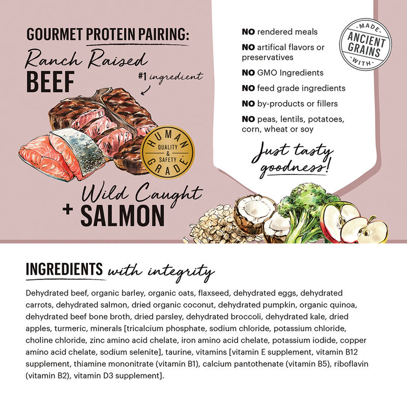 The Honest Kitchen, Gourmet Grains, Beef & Salmon Recipe - Freeze Dried Dog Food image number null
