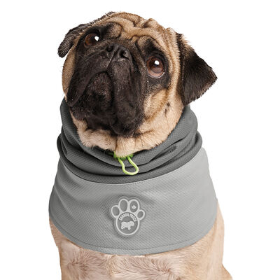 Canada Pooch, Max Chill Cooling Snood Grey