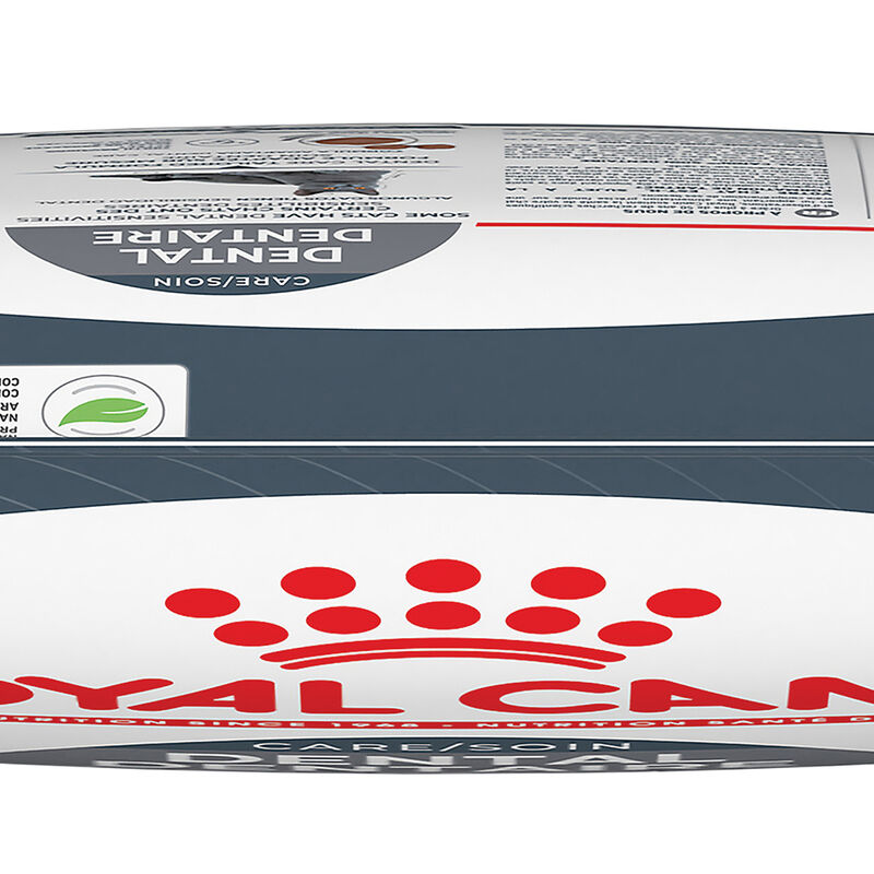 Royal Canin, Feline Care Nutrition - Dental Care - Dry Cat Food image number null