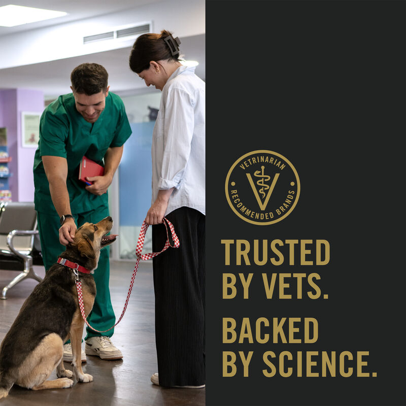 Pro Plan Dog, Can, Specialized Weight Management Turkey & Vegetable 368g image number null