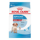 Royal Canin, Size Health Nutrition - Medium Puppy - Dry Dog Food image number null