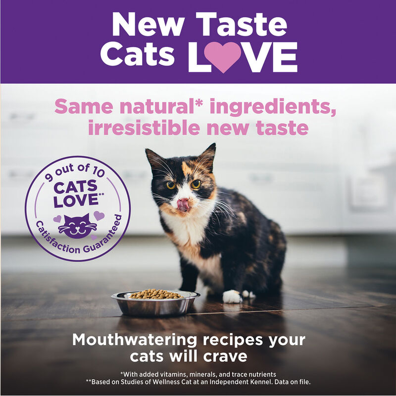 Wellness, Complete Health Kitten Chicken & Rice - 2.27 kg - Dry Cat Food image number null