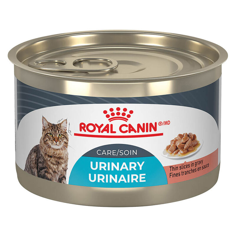 Royal Canin Canned Food Cat: Ultimate Nutrition for Healthy Cats