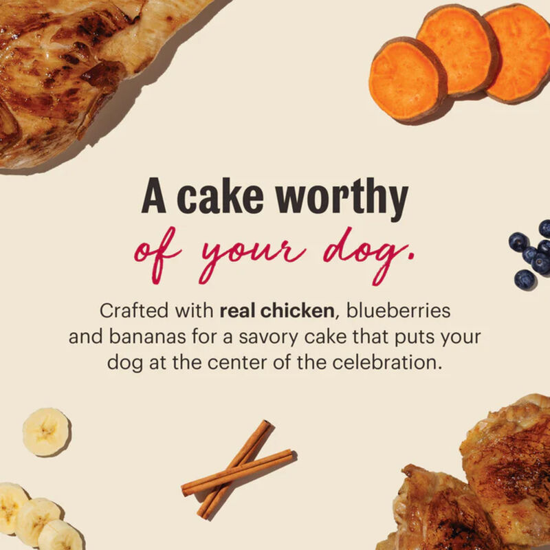 The Honest Kitchen, Ready-to-Make Birthday Cake Mix &ndash; 213 g &ndash; Dog Treat image number null