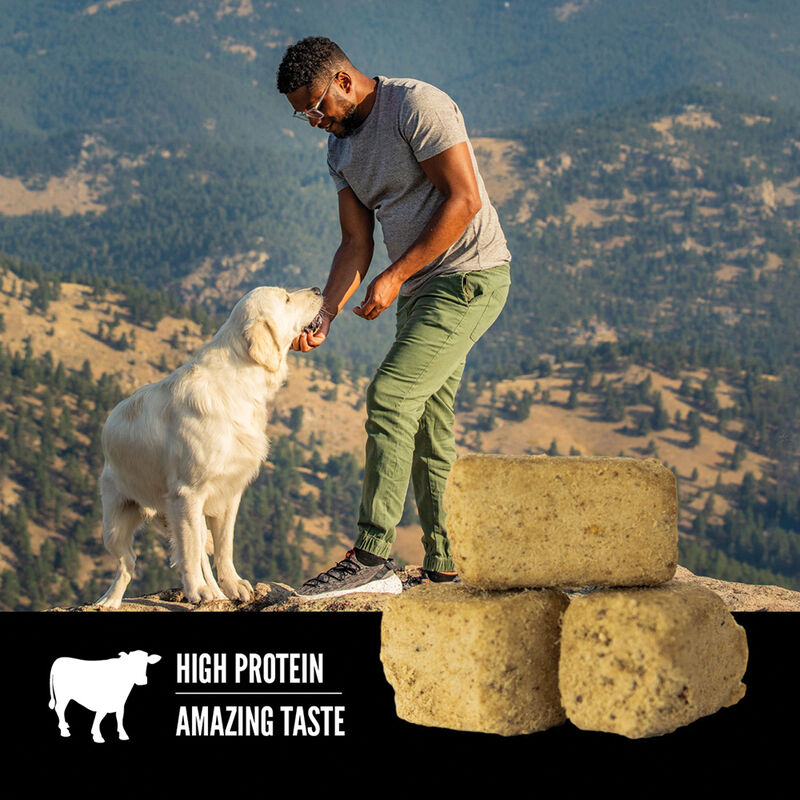 Orijen, Freeze Dried Dog Treat - Regional Red - Freeze Dried Dog Treat image number null