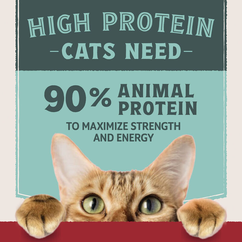 Natural Balance, Ultra Protein - Chicken & Organ Meats Pate Recipe - Wet Cat Food image number null