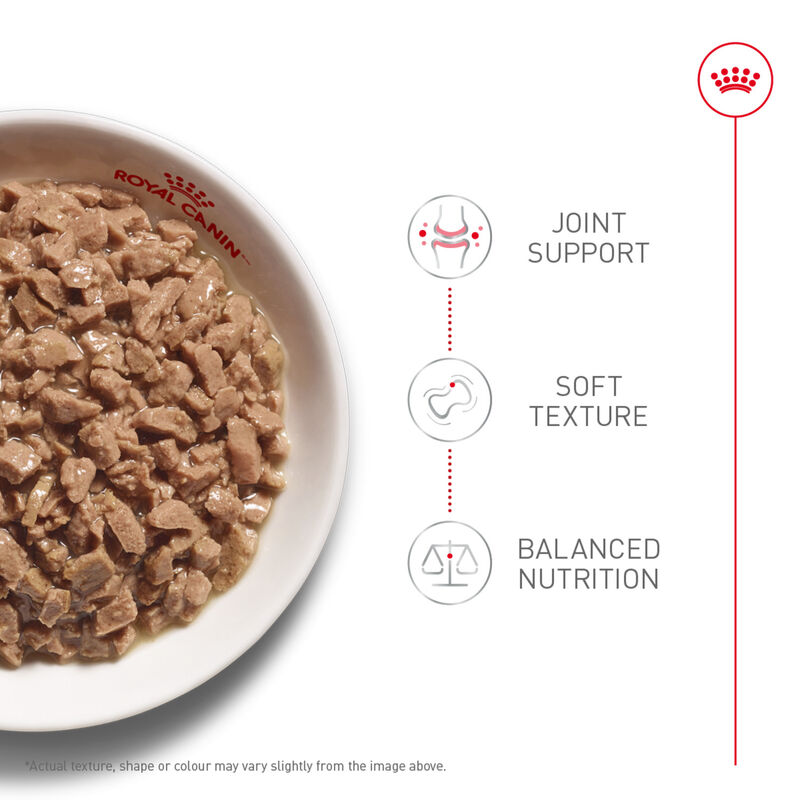 Royal Canin, Feline Health Nutrition Aging 12+ Thin Slices In Gravy - Wet Cat Food image number null