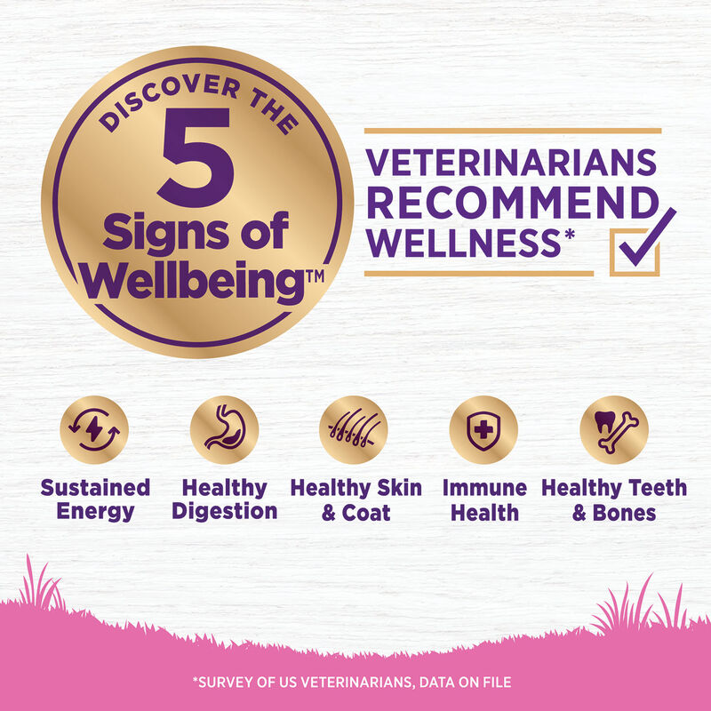 Wellness, Dog Toy Breed Adult - Dry Dog Food image number null